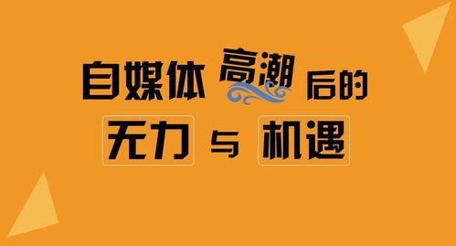 自媒体郑州头条号,聚焦城市脉搏，解码郑州发展新篇章