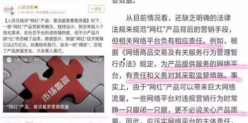 如何提高网红产品质量,提升内容与影响力的秘诀解析