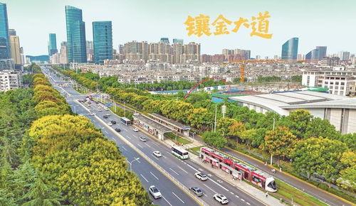 泰安凤凰大道新闻头条,交通枢纽升级，城市面貌焕新