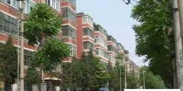 赤岗竹园小区新闻头条,揭秘竹园新动态，共筑和谐家园