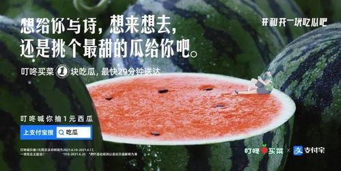 发吃瓜文案,揭秘明星幕后故事