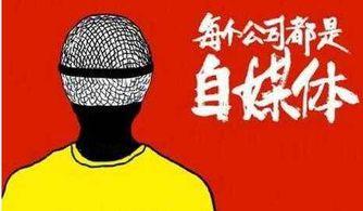 头条号更换领域后,头条号华丽转身，开启全新篇章