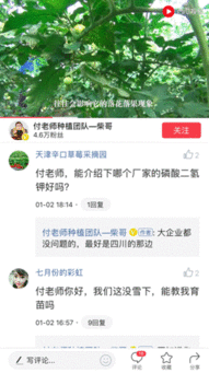 三农视频我要上头条,助力乡村振兴——我要上头条