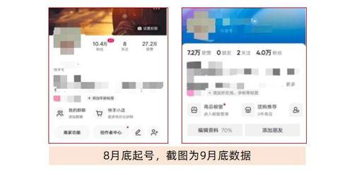 头条怎样才会涨粉丝最快,快速吸粉的秘诀技巧大揭秘