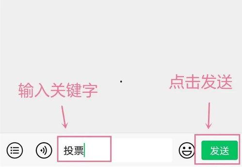 怎么查看每日大赛评论区,揭秘热门话题与精彩互动