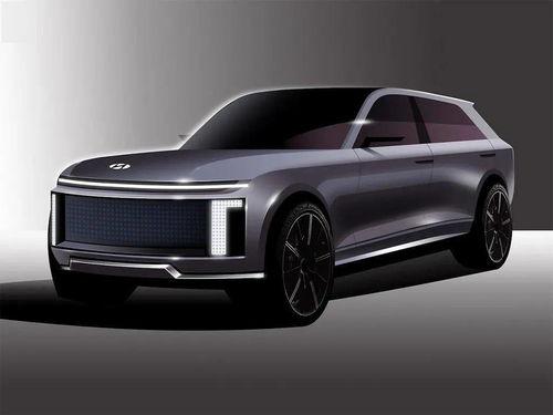 北京5只猫网红公寓