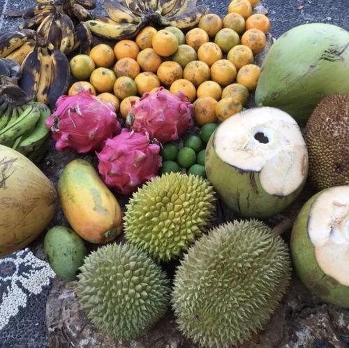 金乡夫妻聊天吃瓜