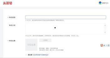 头条号怎么发垂直内容,打造专业领域影响力