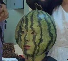 快给我吃留学圈瓜,揭秘留学生活背后的那些事儿