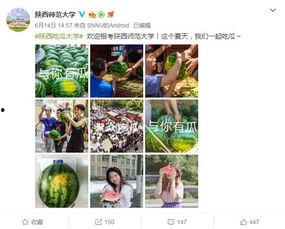 各大高校吃瓜网址,揭秘各大高校吃瓜网址背后的故事