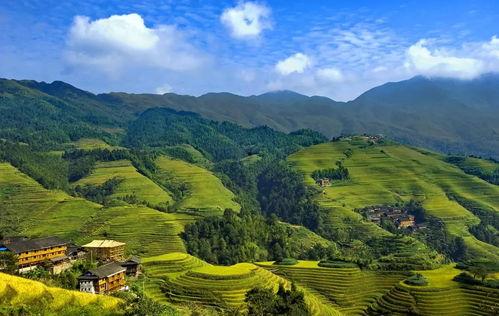 云南瑶寨新闻头条,传承文化，共筑和谐家园