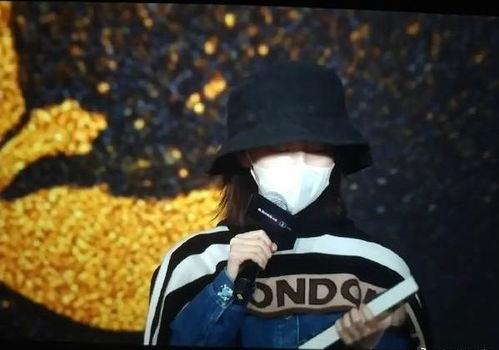 春节明星口罩图片,共庆佳节风采依旧