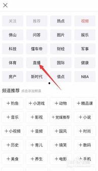 网络上怎么开通头条直播,一键开通，畅享互动新体验