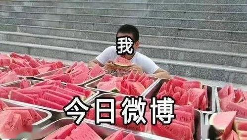 侦查吃瓜,揭秘吃瓜群众的神秘世界