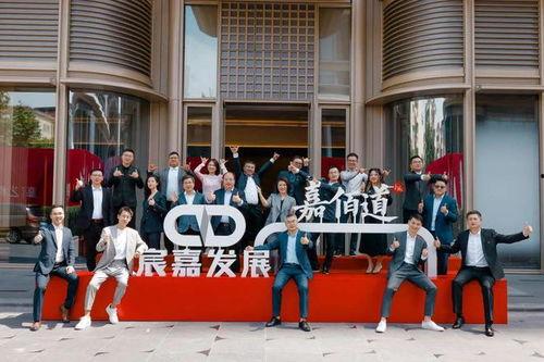 上海明星创业公司,创新浪潮中的璀璨明珠