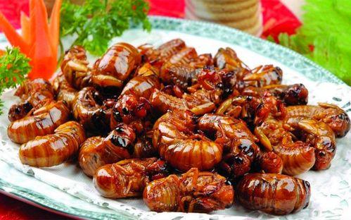 新瓜最新爆料炒河粉