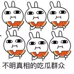 吃瓜能有多努力,揭秘极致吃瓜的奥秘与技巧